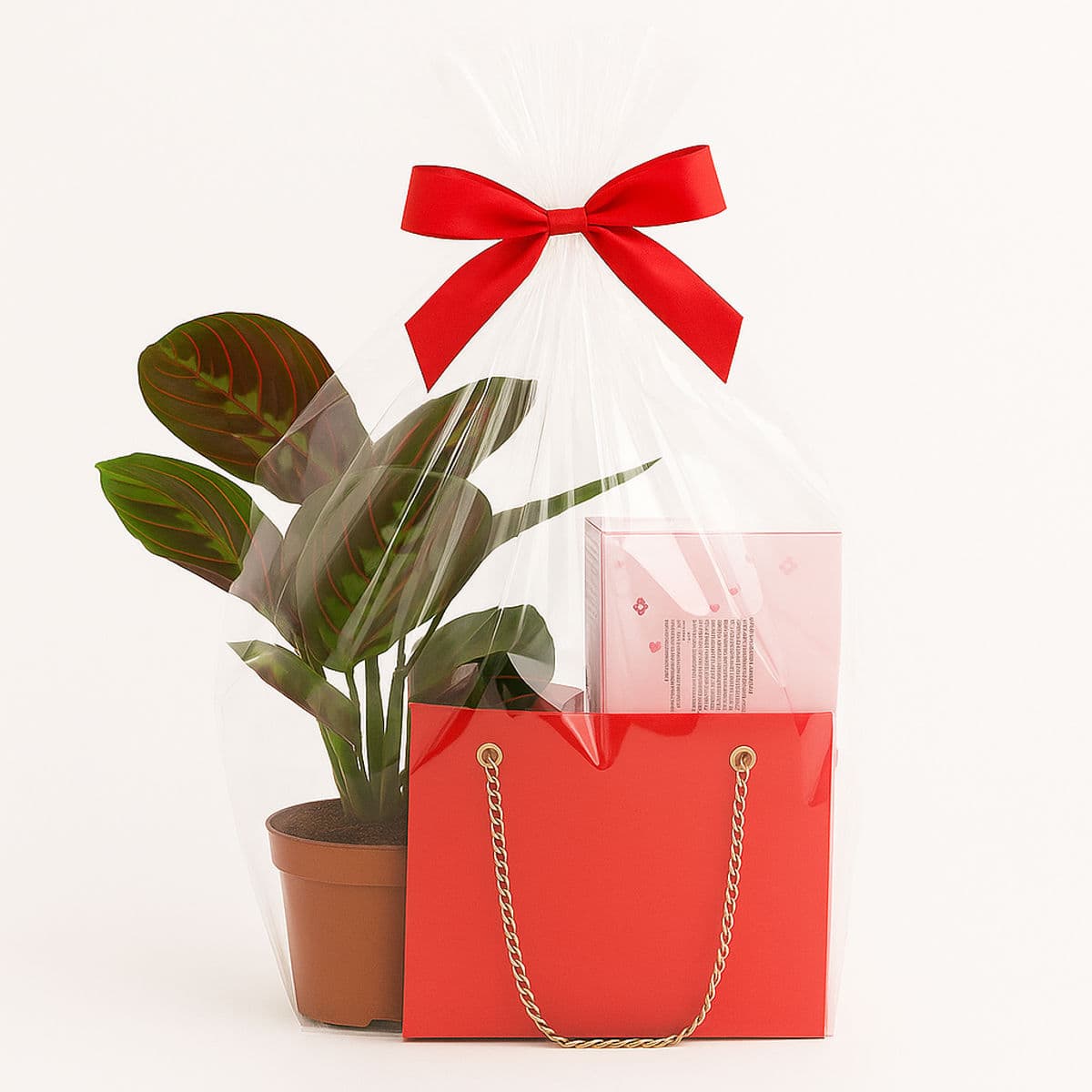 Cadou Delicat 3 Alt text: Decor elegant cu plantă în ghiveci, punguță roșie și fundă roșie pentru cadouri speciale.