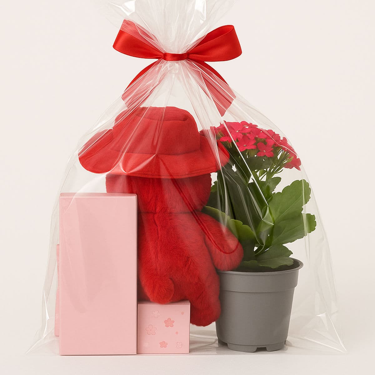 Cadou Perfect pentru Ea 2 Împachetare elegantă cu urs din pluș și plantă în ghiveci, ideal cadou surpriză pentru Valentine’s Day sau ocazii speciale.