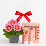 Descriere: Cremă de mâini și lip balm cu aromă de căpșuni, ideal pentru îngrijire și hidratare. Cadou perfect pentru iubitorii de frumusețe.
